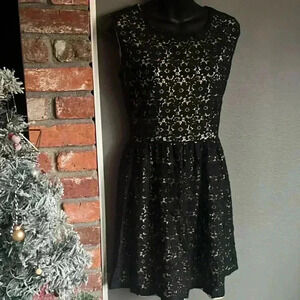 Black Lace Sleeveless Fit & Flare Dress